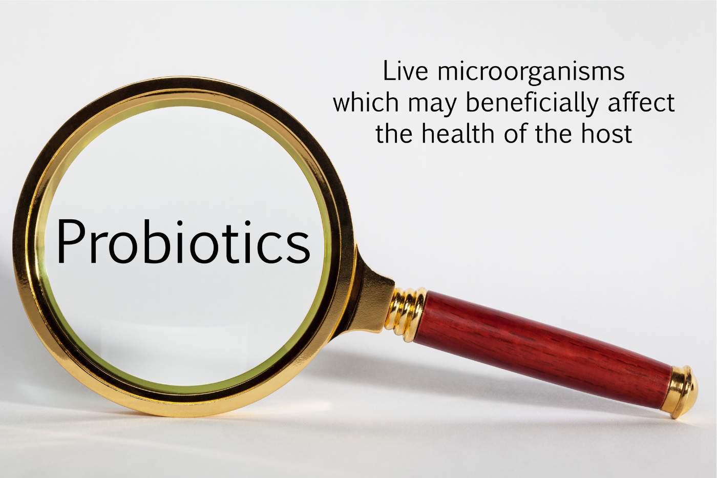 3 categories of probiotics