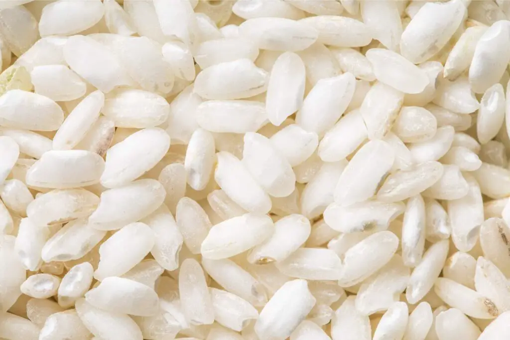 Arborio rice