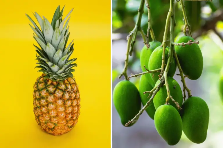 Pineapple Vs Mango: What Is Better (For Your Heart)?
